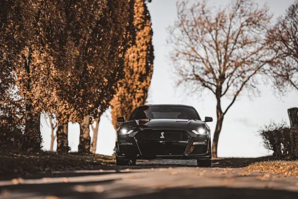 ΦΜΠΕΤ Καζίνο Εφαρμογή Android/iOS